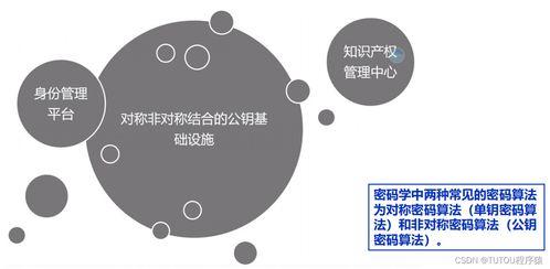 物聯(lián)網(wǎng)安全架構(gòu)、基礎(chǔ)設(shè)施與安全軟件開發(fā) 構(gòu)建可信的互聯(lián)世界